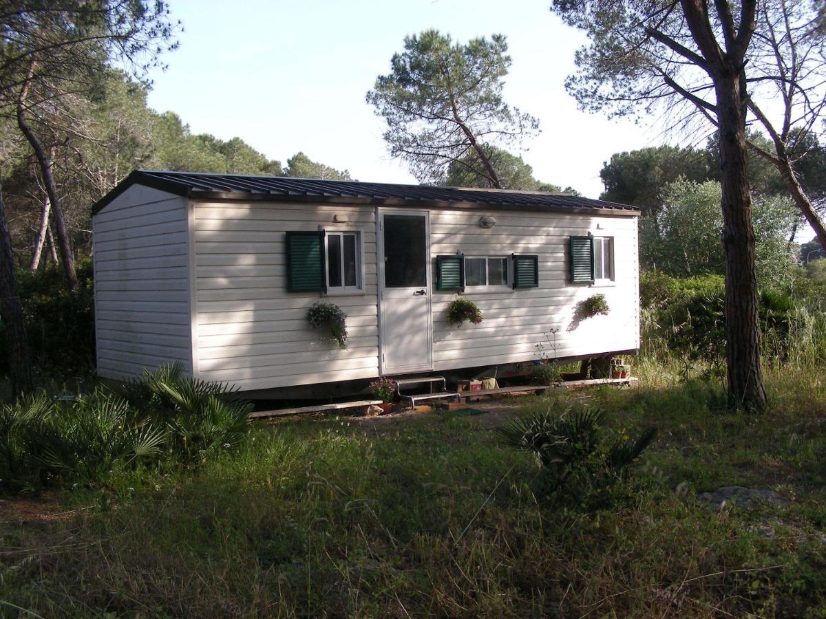 Villaggio Camping Nurral Fertilia Δωμάτιο φωτογραφία