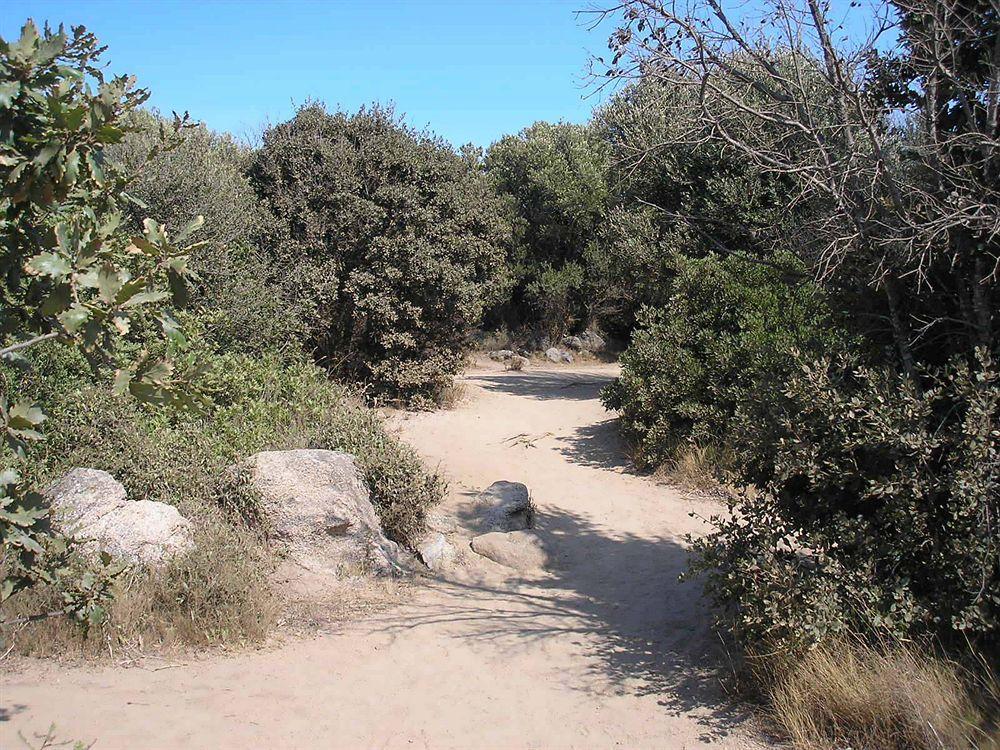 Villaggio Camping Nurral Fertilia Εξωτερικό φωτογραφία