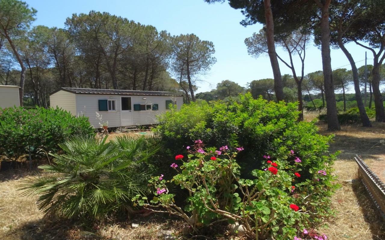 Villaggio Camping Nurral Fertilia Δωμάτιο φωτογραφία