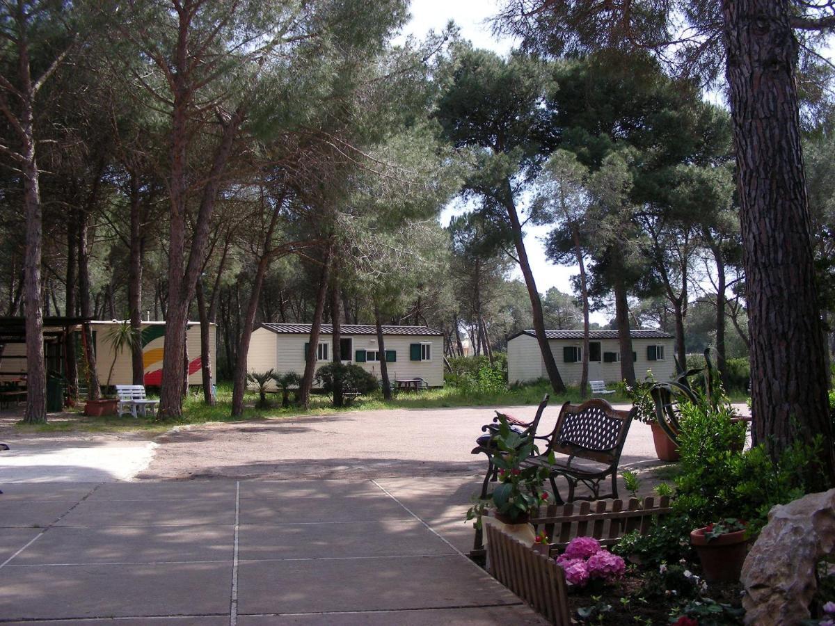 Villaggio Camping Nurral Fertilia Δωμάτιο φωτογραφία